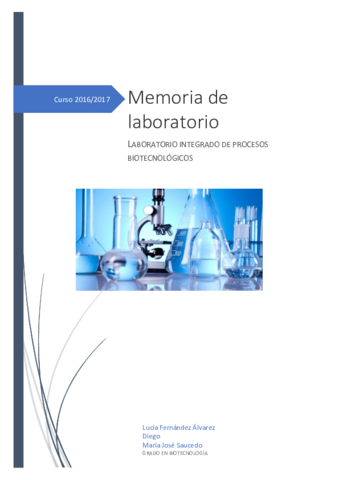 memoria liproc.pdf
