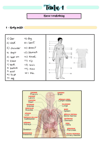 Ingles-Vocabulario-basico-examen.pdf