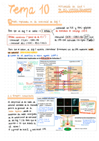 Apuntes-tema-10.pdf