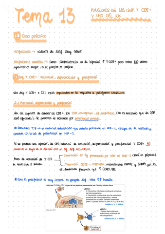 Apuntes-tema-13.pdf