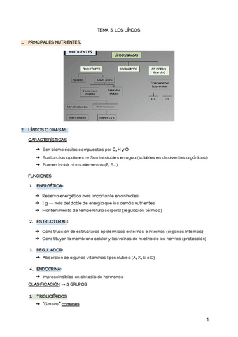 APUNTES-TEMA-5-ALIMENTACION.pdf
