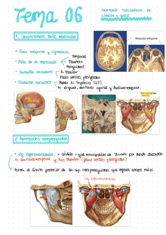 TEMA-06.pdf