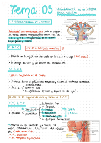 TEMA-05.pdf