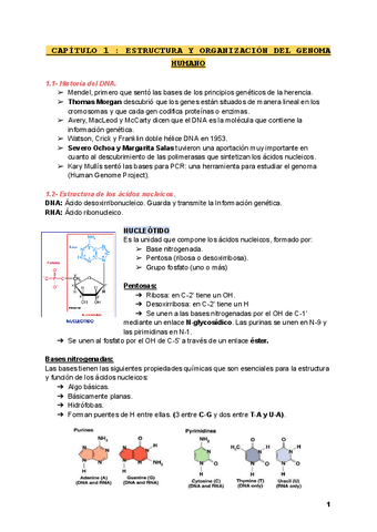 Teoria-Primer-Parcial.pdf