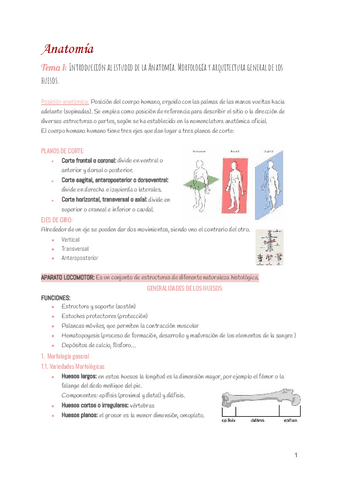 Anatomia-teoria.pdf