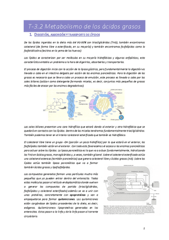 T-3.2-BQMM.pdf