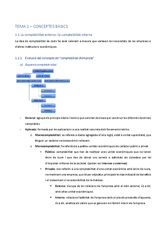 resum-Tema-1.pdf
