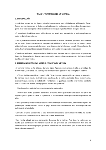 APUNTES VICTIMA Y DERECHO PENAL 2º.pdf