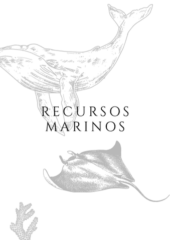 TEORIA-RECURSOS-MARINOS.pdf