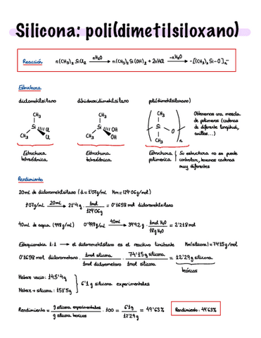 Informe-Silicona.pdf