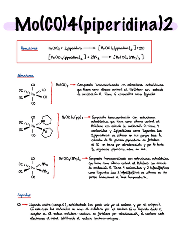 Informe-Molibdeno.pdf