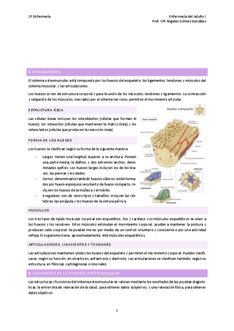 TEMA-7-ma-ANGELES.pdf