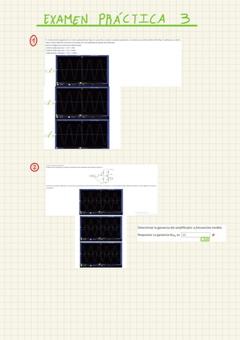Examen-Practica-3.pdf