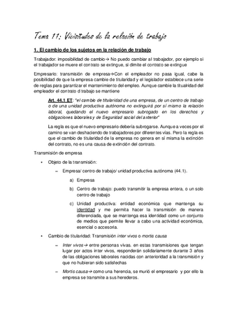 Tema-11-Legislacion-de-Derechos-Sociales.pdf