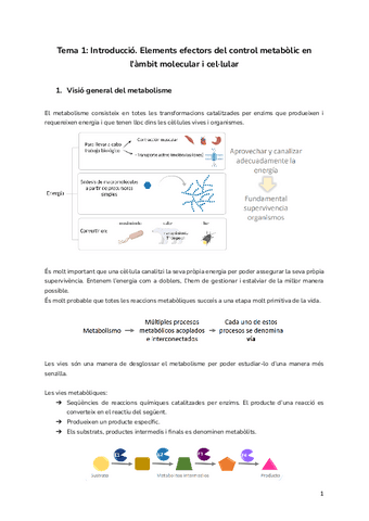 Tema-1-Introduccio.-Elements-efectors-del-control-metabolic-en-lambit-molecular-i-cellular.pdf