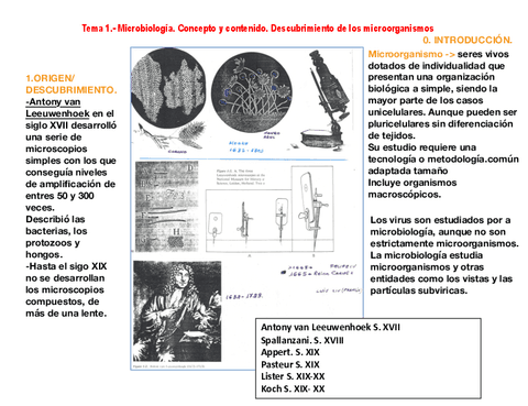 T01COMPLETO..pdf