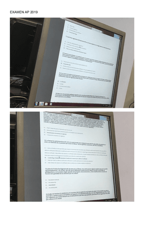 2019-EXAMEN-AP.pdf
