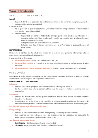 Tema-1.-Introduccion.pdf