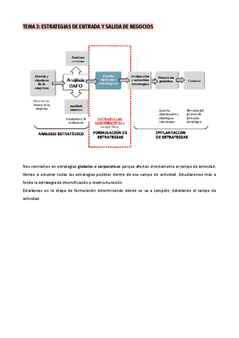 TEMA-3-Estrategias-de-entrada-y-salida-de-negocios-1.pdf