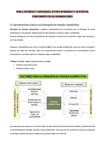 TEMA-2-Recursos-y-capacidades-activos-intangibles-y-gestion-del-conocimiento-en-las-organizaciones.pdf