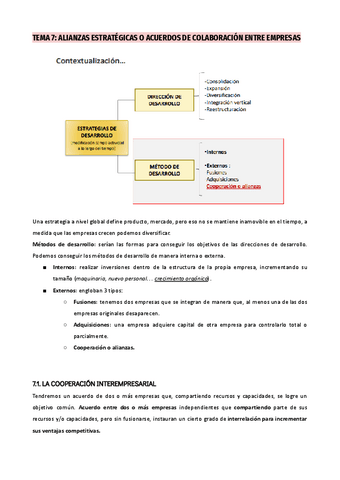 TEMA-7-Alianzas-estrategicas-o-acuerdos-de-colabracion-entre-empresas-1.pdf