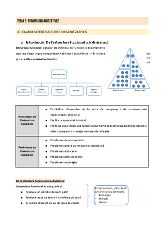 TEMA-3-Formes-organitzatives.pdf