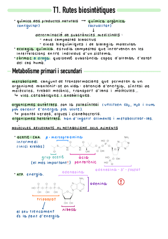T1-Rutes-biosintetiques.pdf