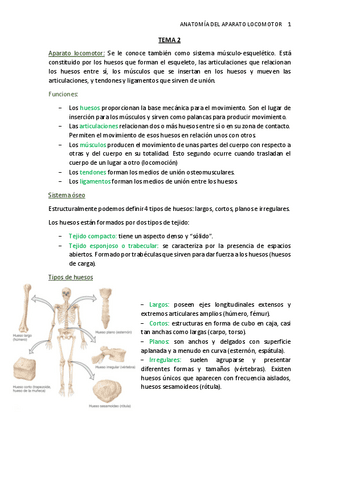 TEMA-2.-Sistemas-del-ap.-locomotor.pdf