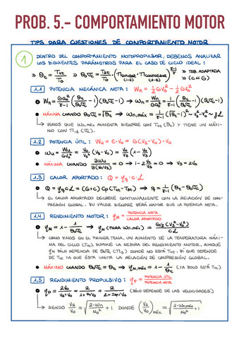 5.2.-Test-y-Problemas-de-Comportamiento-Motor.pdf