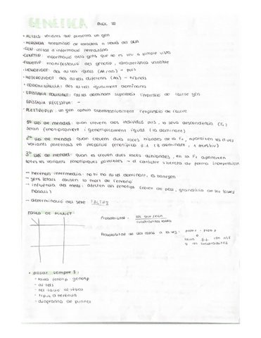 genetica.pdf