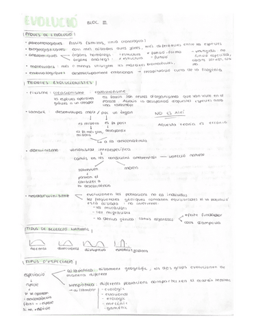 evolucio.pdf