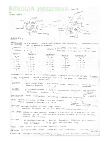 bio-molecular.pdf