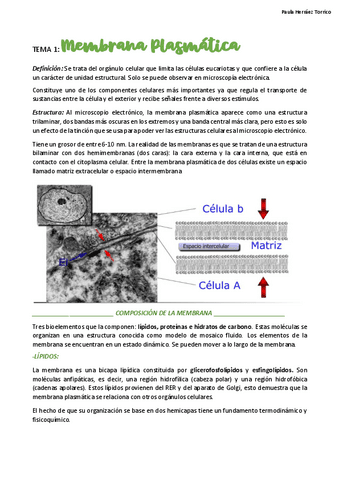 TEMA-1-Membrana-plasmatica.pdf
