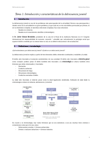 Tema-1-Introduccion-y-caracteristicas-de-la-delincuencia-juvenil-1.pdf