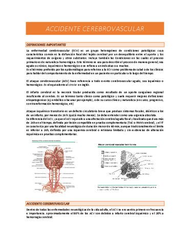 ACV-RESUMEN.pdf