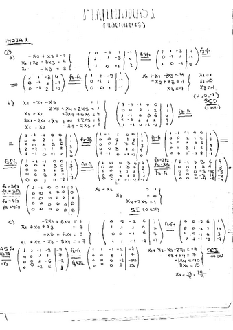 ejercicios-hojas.pdf