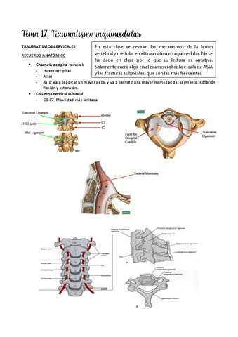 Tema-17.1.pdf