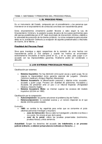 Resumen proceso penal.pdf