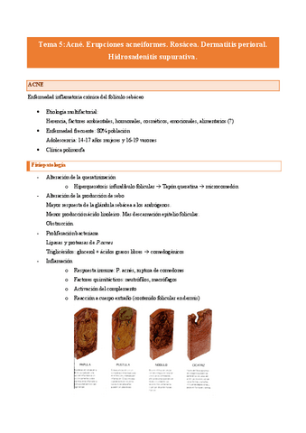 Tema-5-Acne.pdf