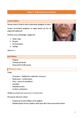 Tema-9-Bacterias.pdf