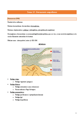 Tema-15-Ampollosas.pdf