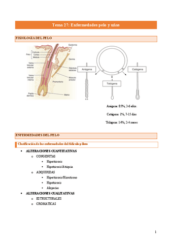 Tema-27-Enf-pelo-y-unas.pdf