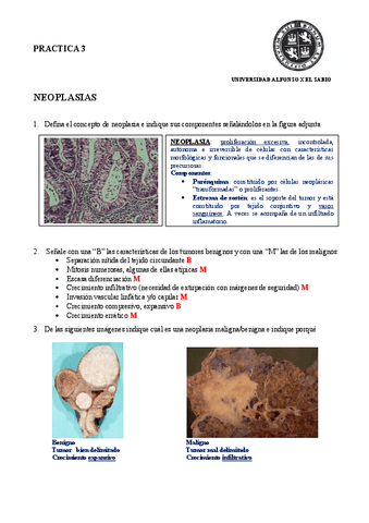 Practica-3.pdf