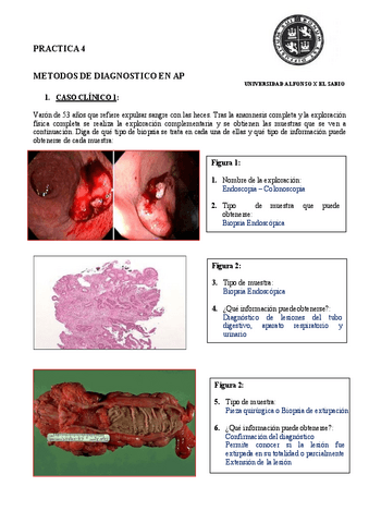 Practica-4.pdf
