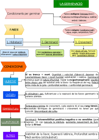 Germinacio-fases-i-etapes.pdf