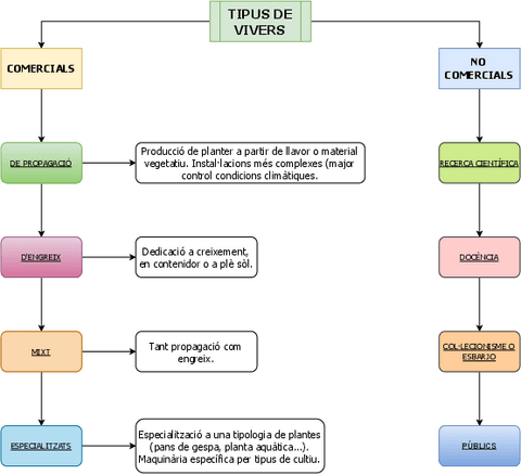 Tipus-de-vivers.pdf