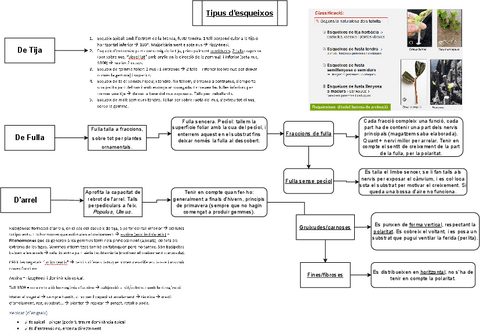 Tipus-desqueixos.pdf