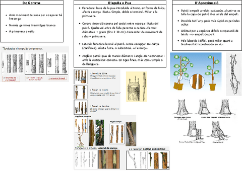 Tecniques-empelt.pdf