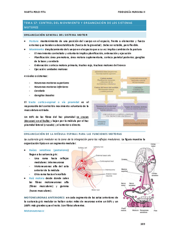 TEMA-16.FISIO.pdf
