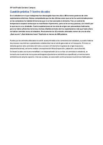 Cuestion-practica-7.pdf